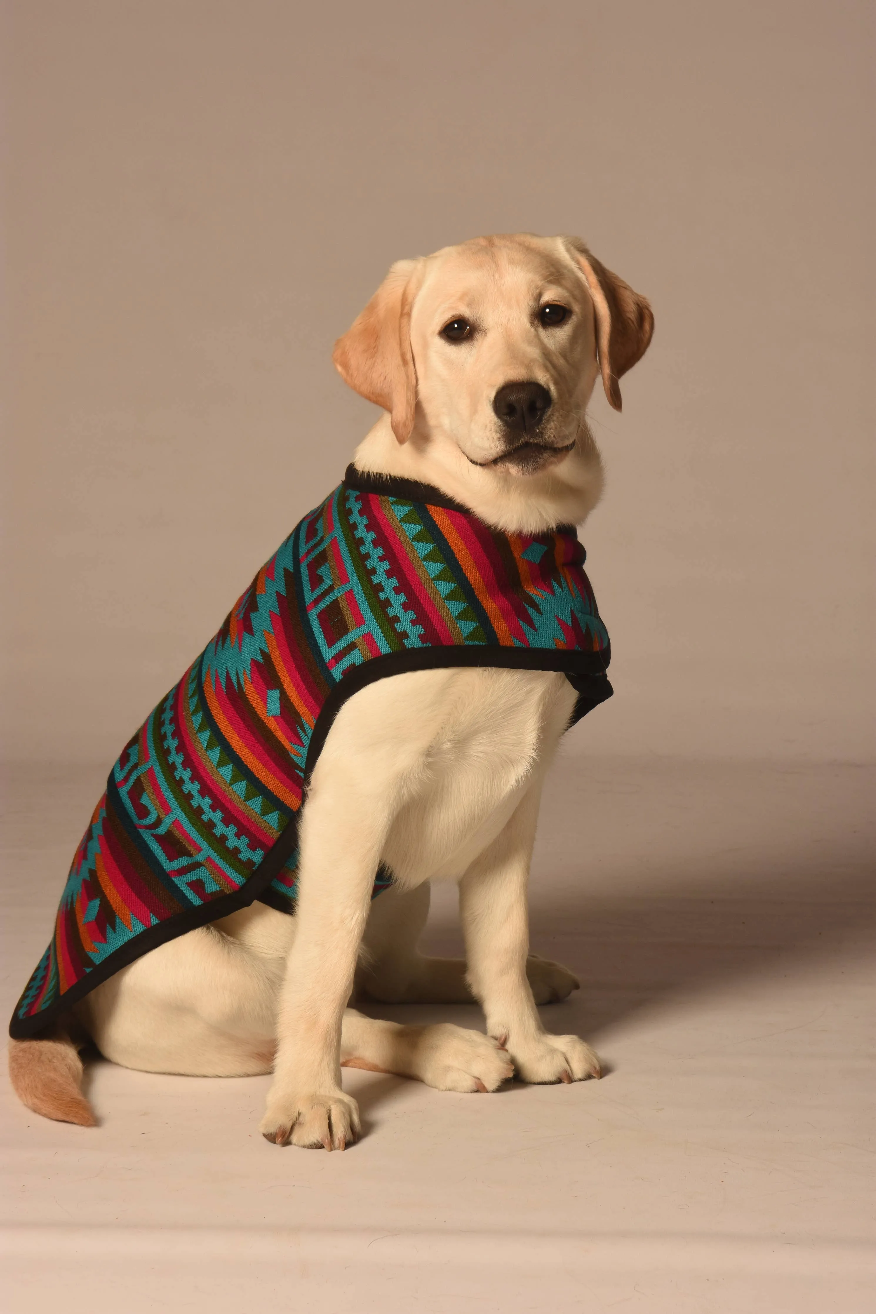 Chilly Dog Dog Blanket Coat Desert Rose