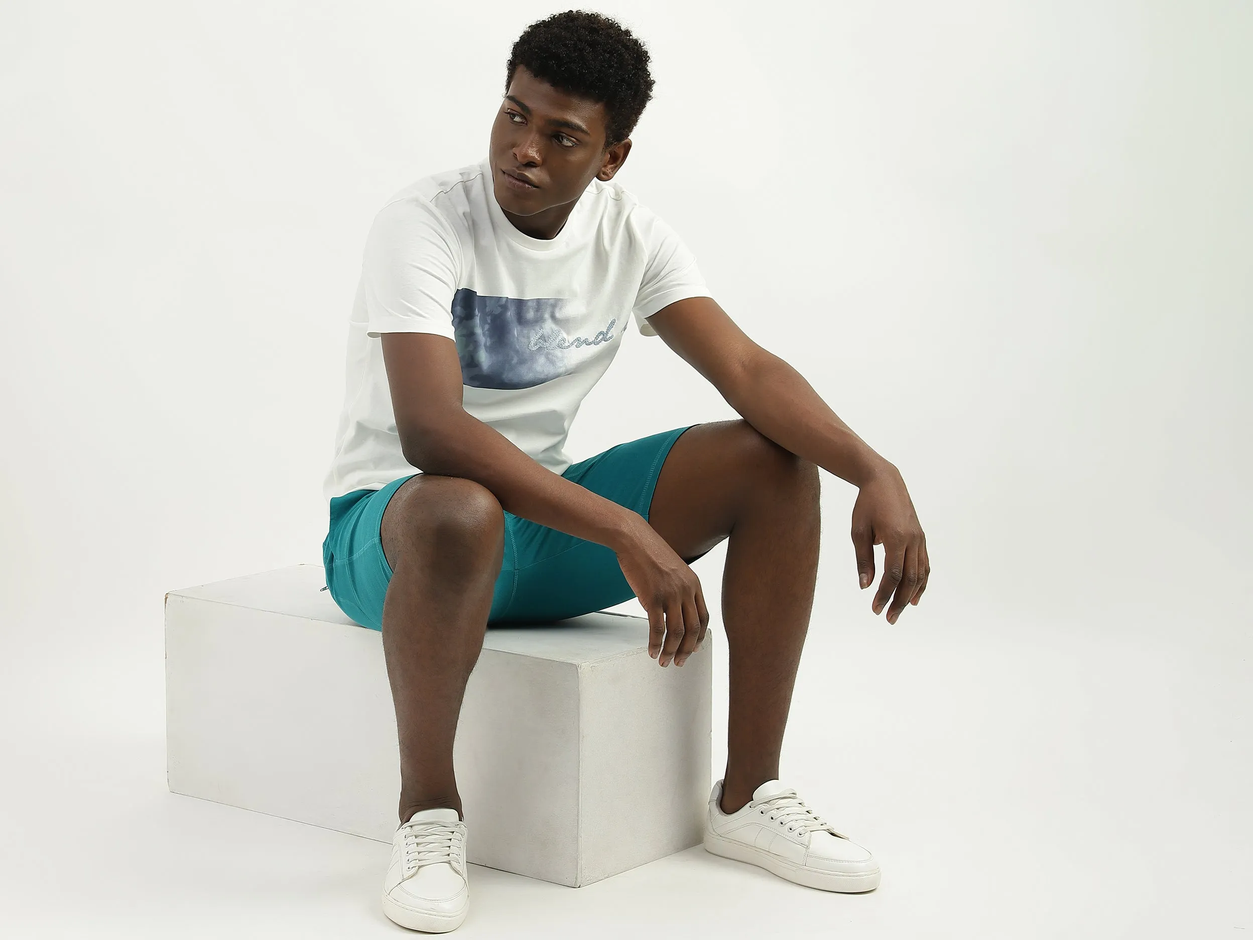 Cotton Solid Regular Fit Mens Shorts