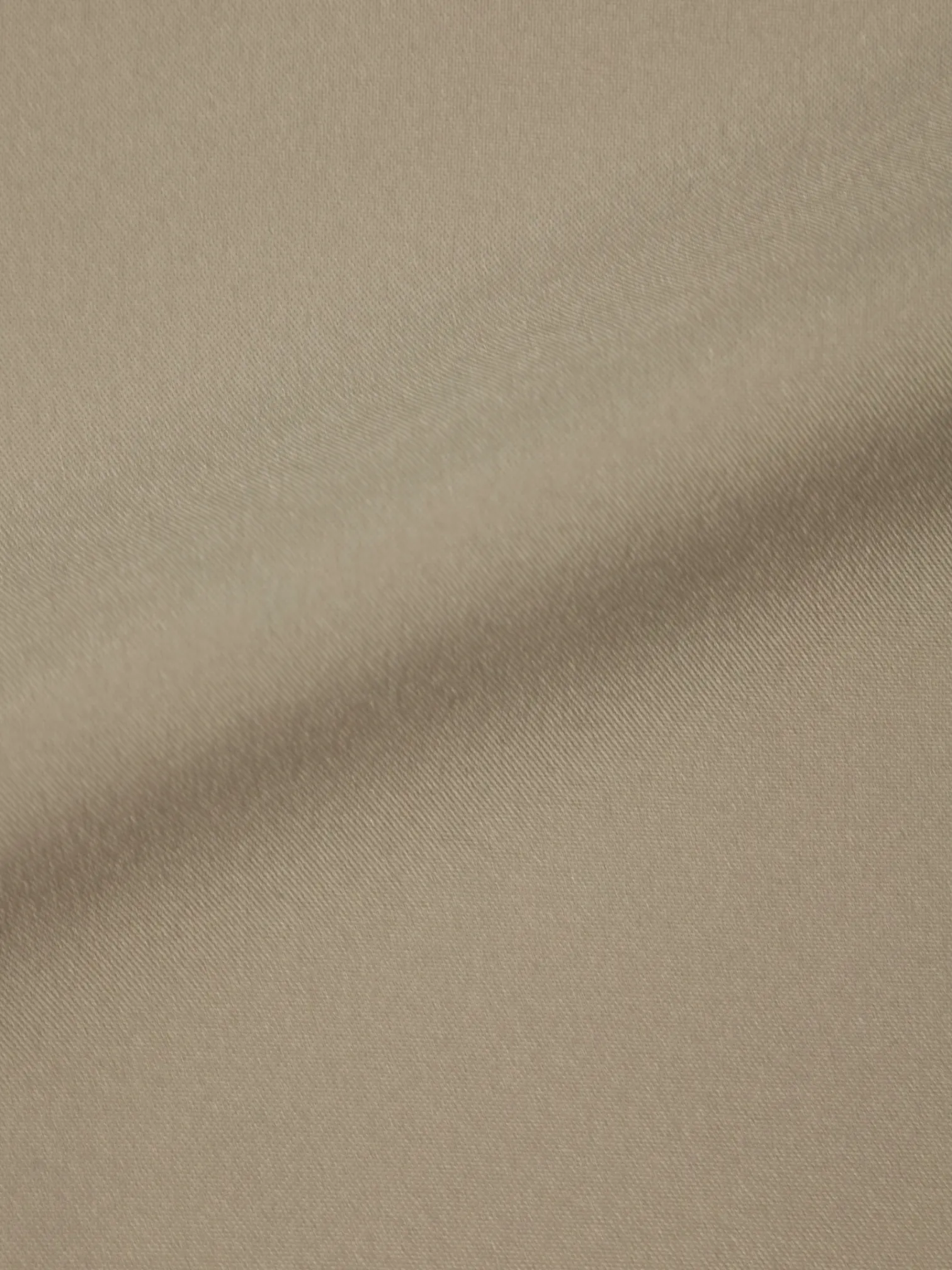 Doriani Cashmere Taupe Polyester Windbreaker Coat