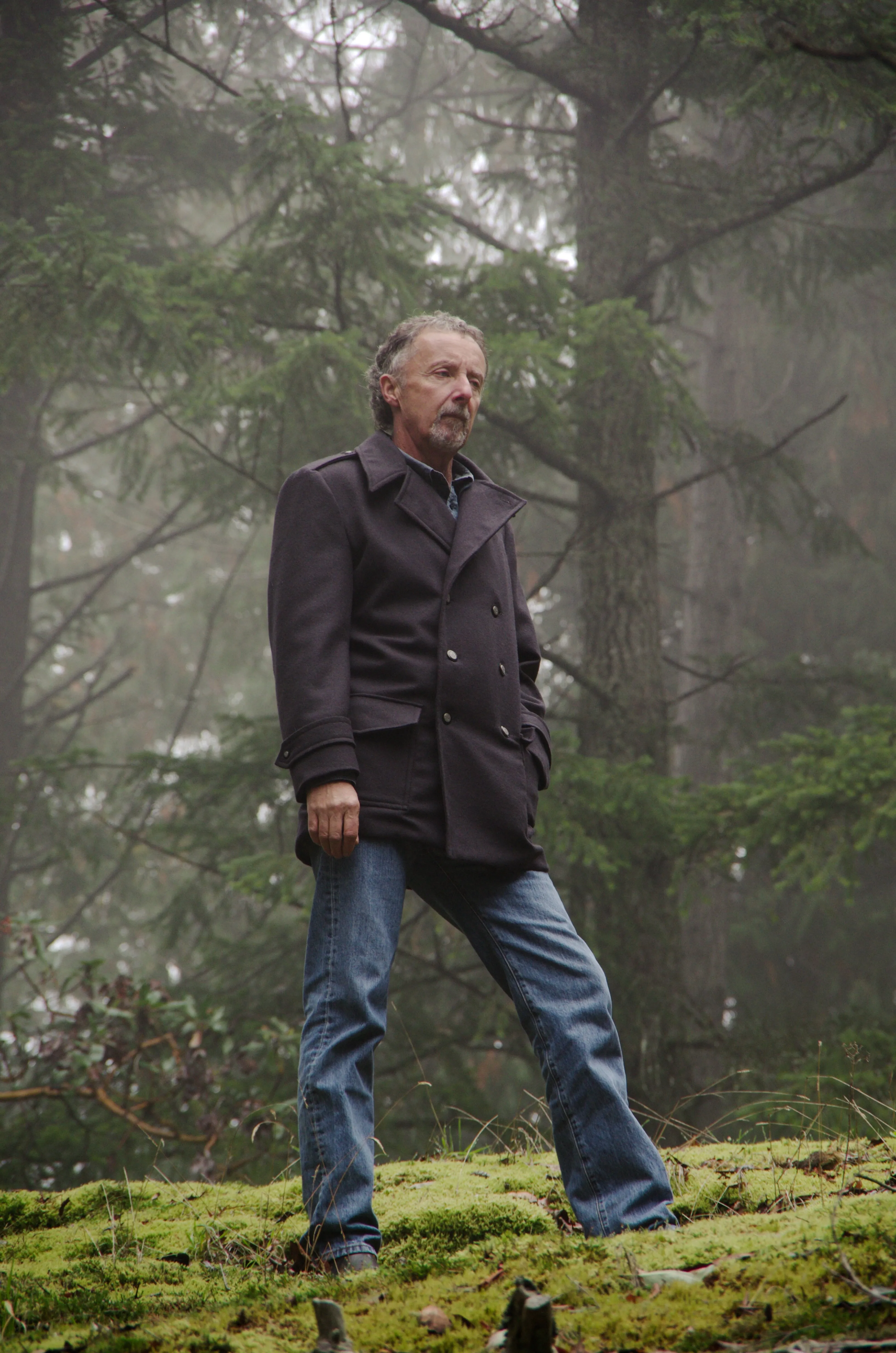 Goldstream Peacoat