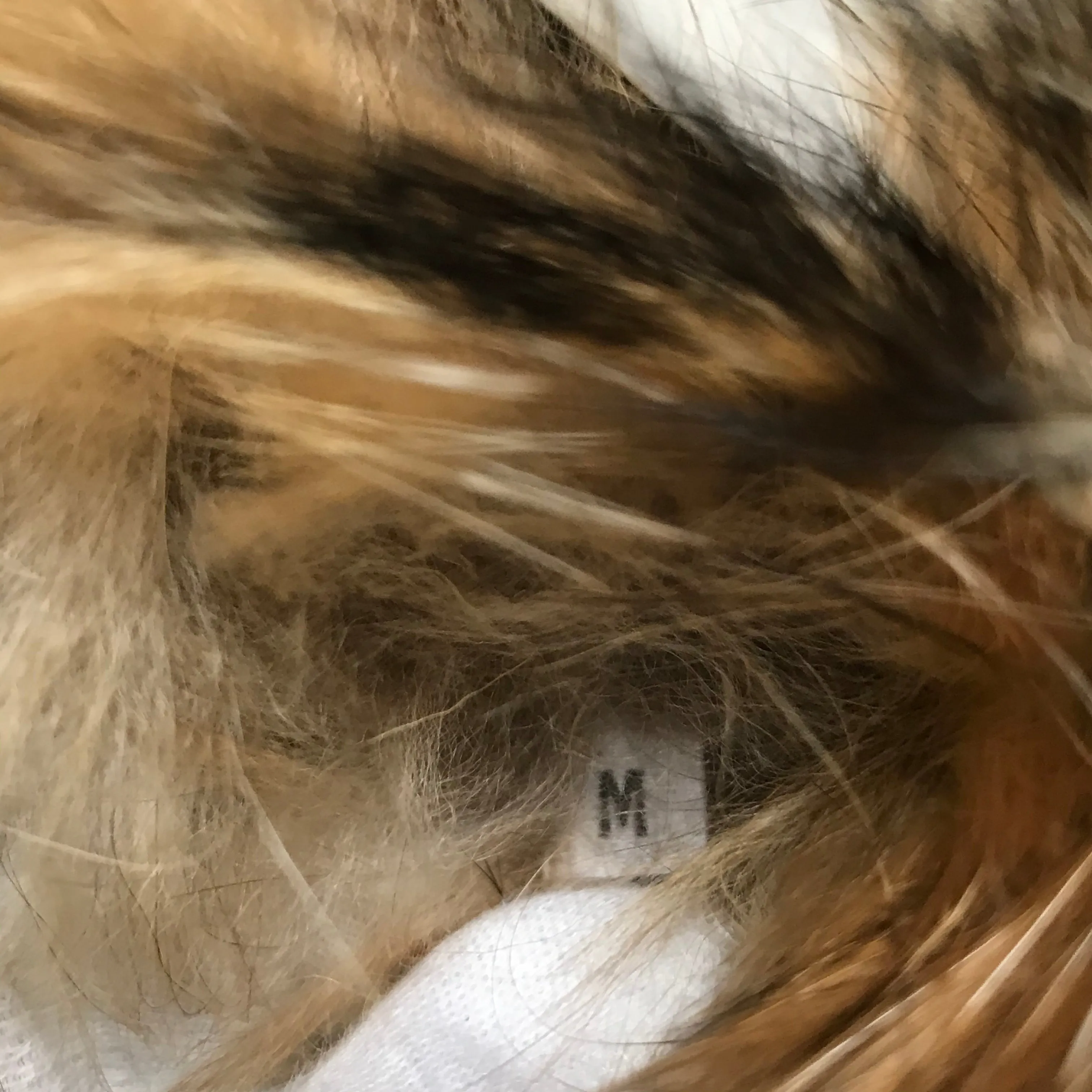 [M] A Bathing Ape Bape Fur Collar Corduroy Down Jacket