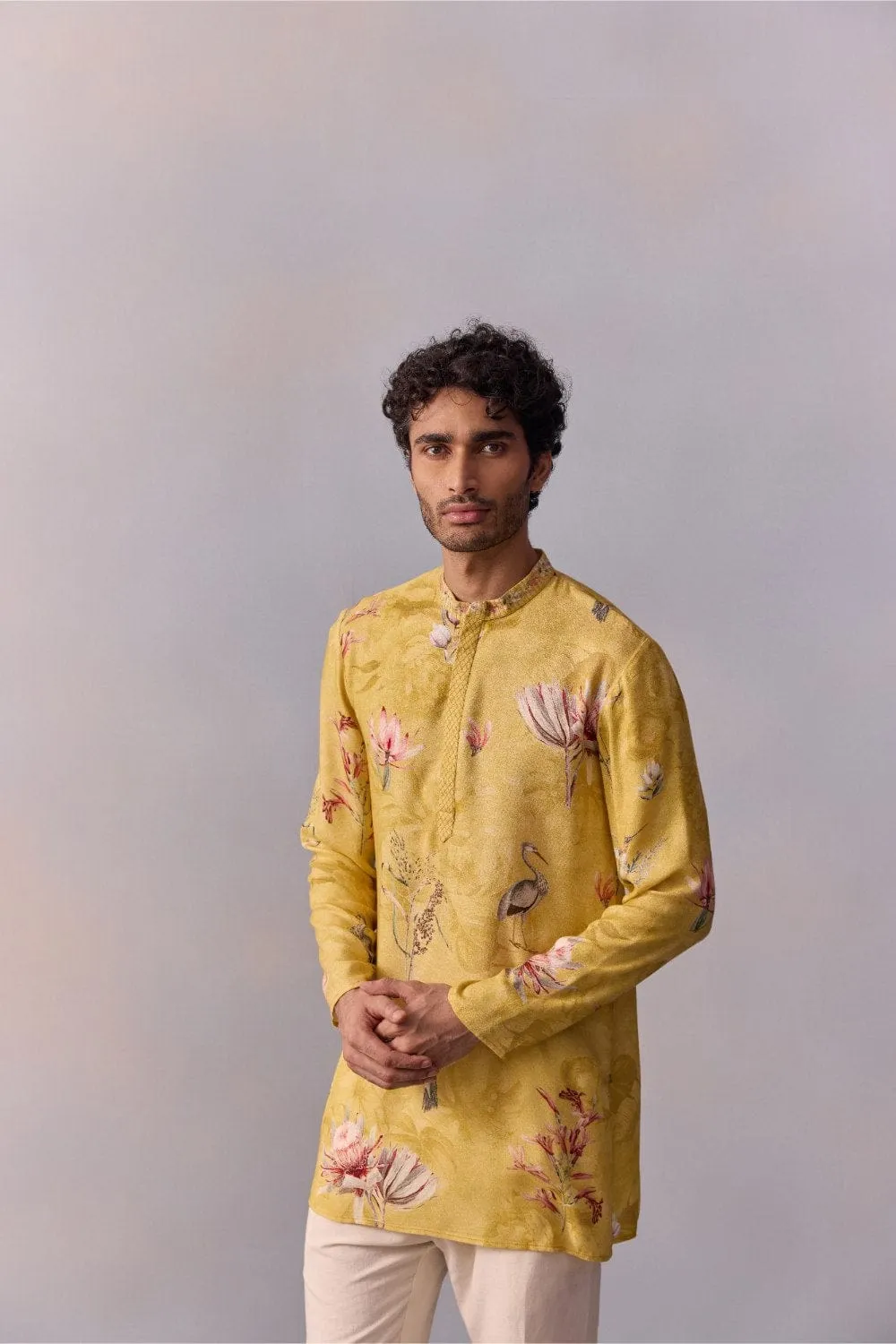 Nasir