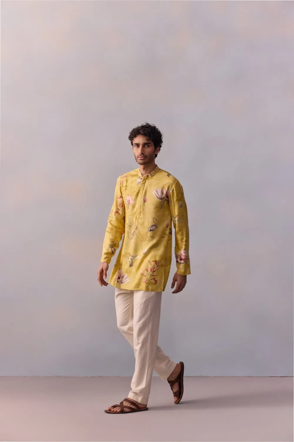 Nasir