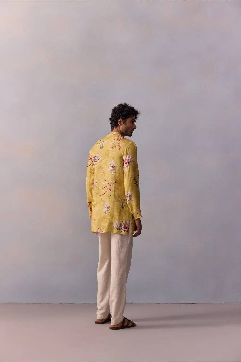Nasir