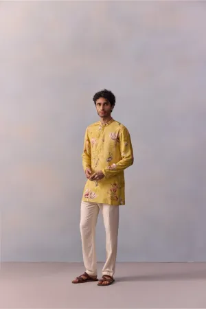 Nasir