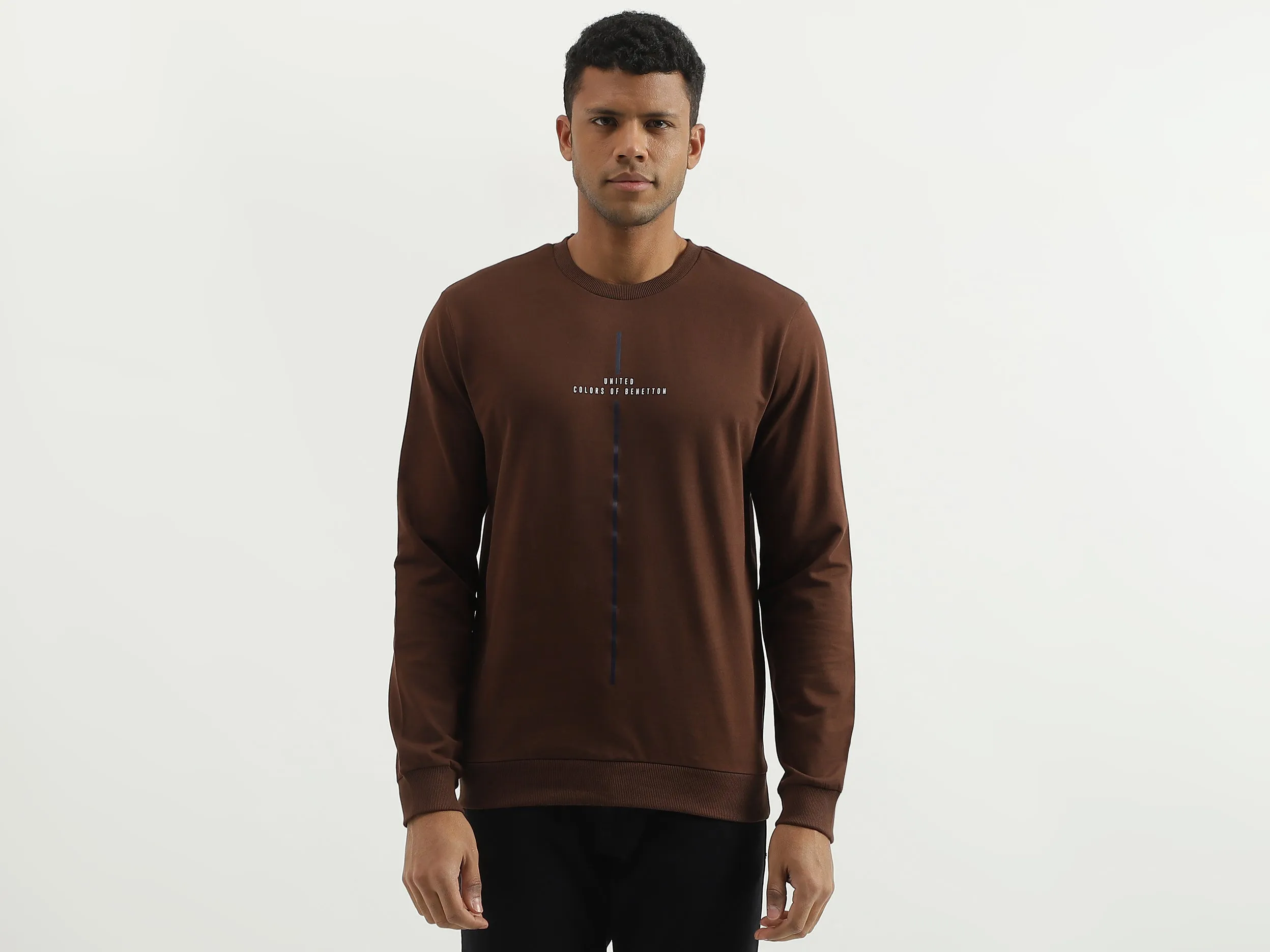 Regular Fit Round Neck Solid Sweatshirt