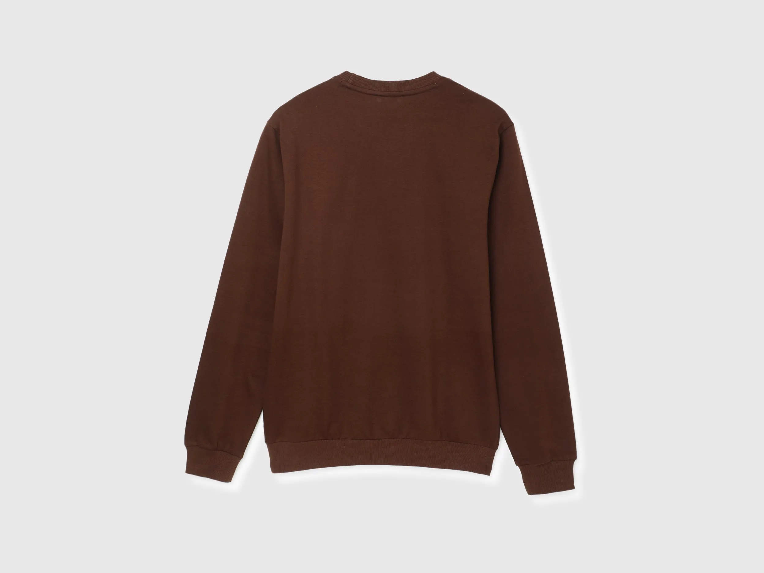 Regular Fit Round Neck Solid Sweatshirt