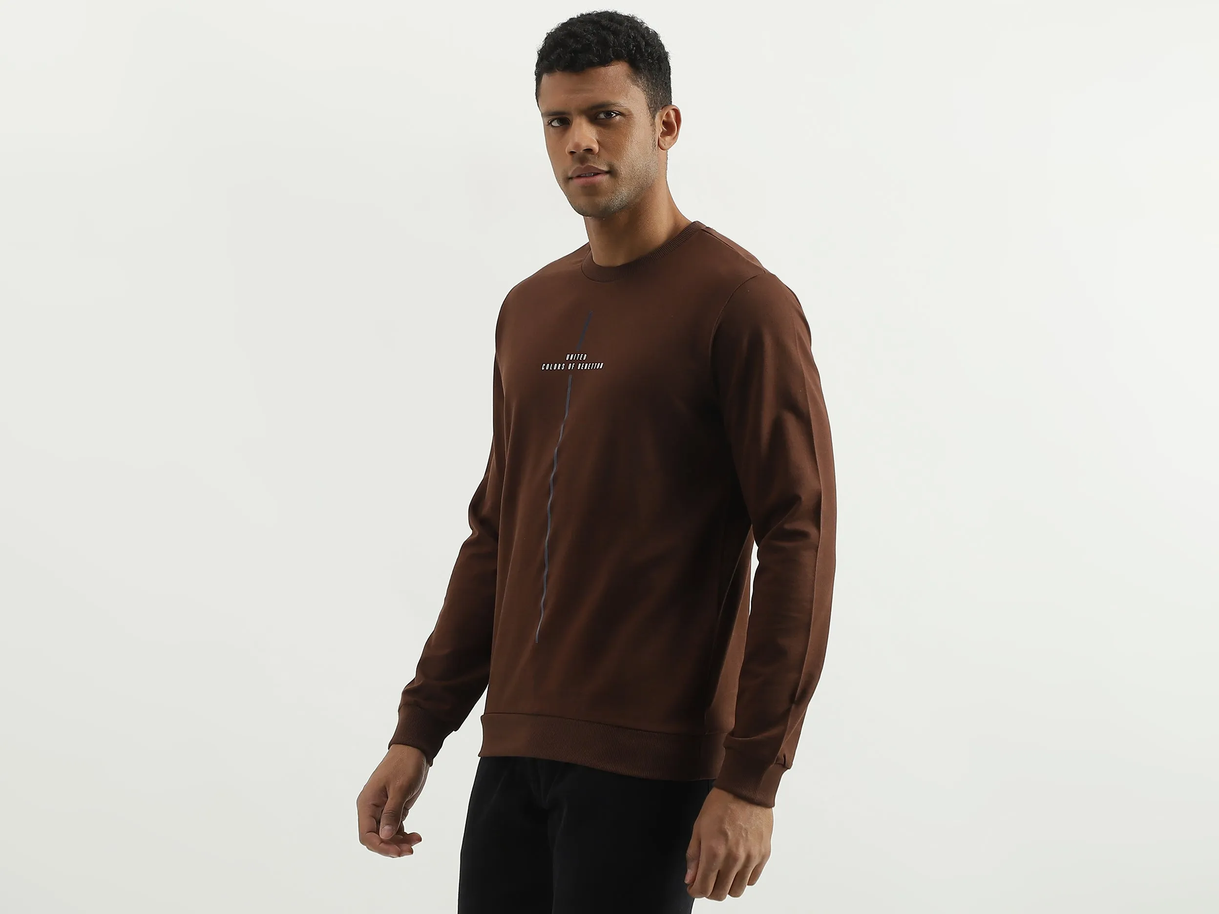 Regular Fit Round Neck Solid Sweatshirt