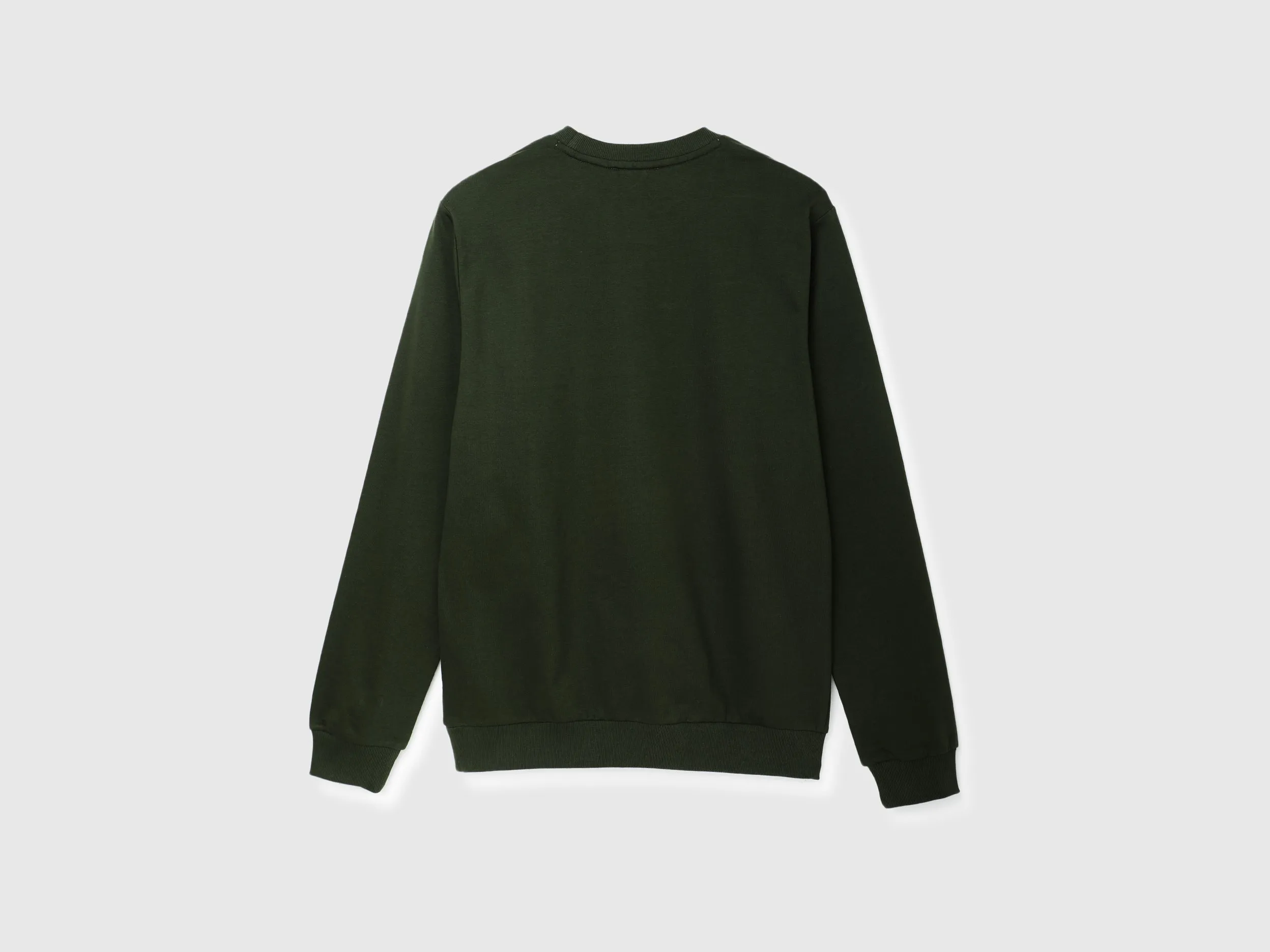 Regular Fit Round Neck Solid Sweatshirt