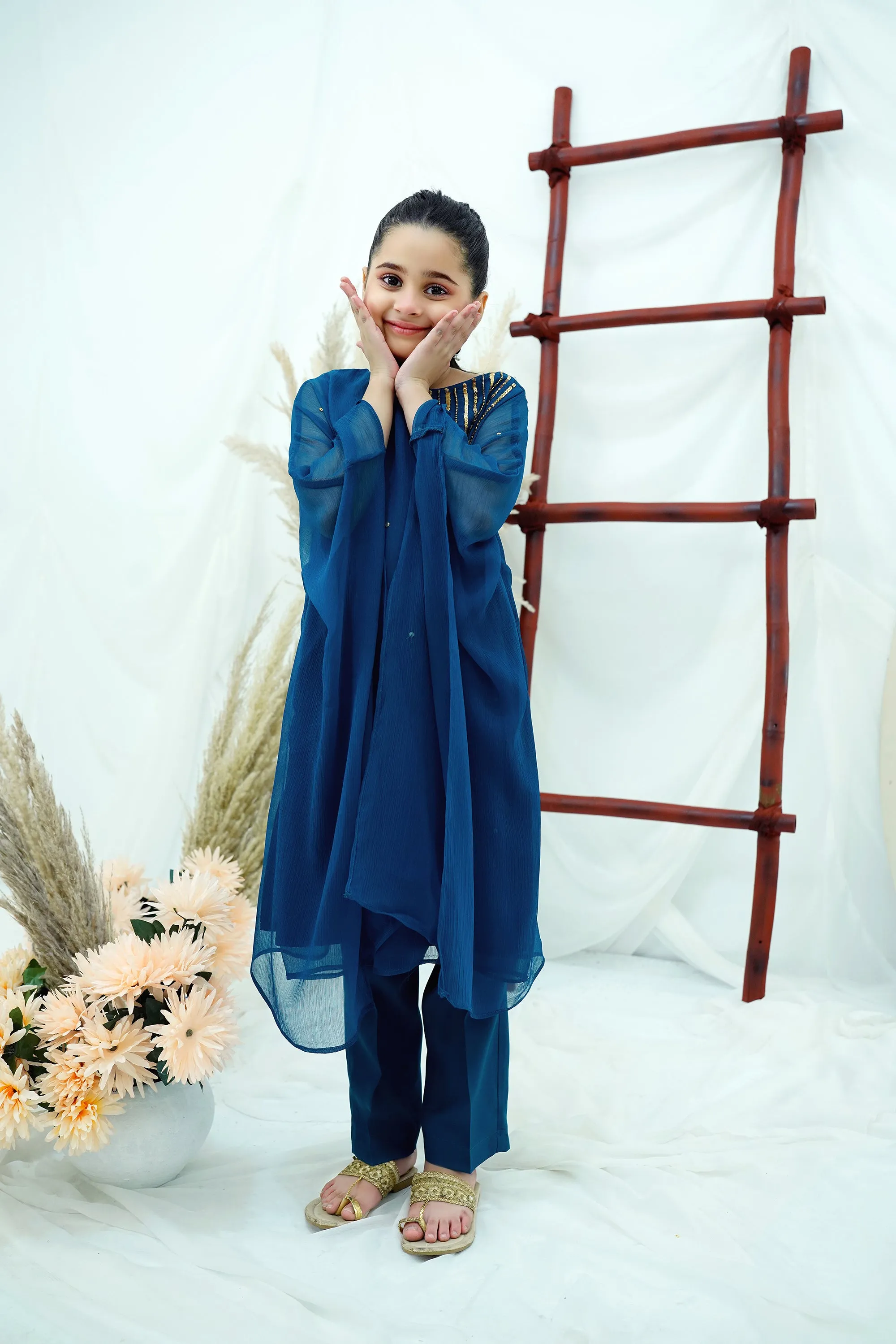 Teal blue Embroidered Chiffon